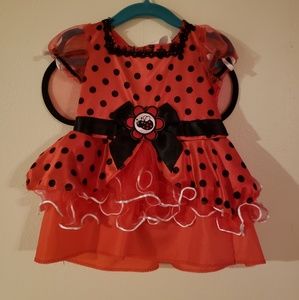 🌞 Lady Bug Costume-Girl